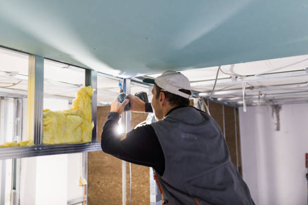 Best Insulation Maintenance and Repair in Merrick, NY